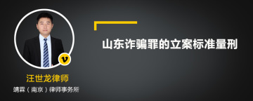 山东诈骗罪的立案标准量刑