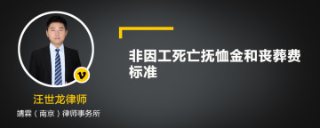 非因工死亡抚恤金和丧葬费标准