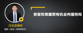 容留和窝藏罪有机会判缓刑吗