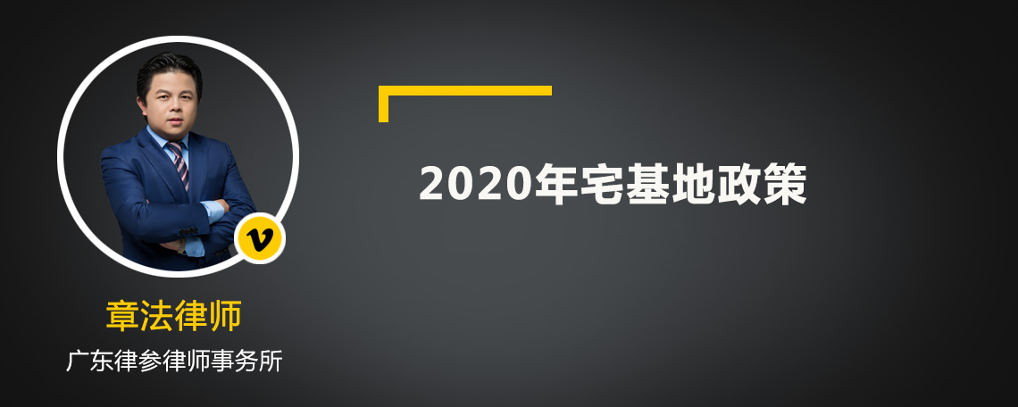 2020年宅基地政策