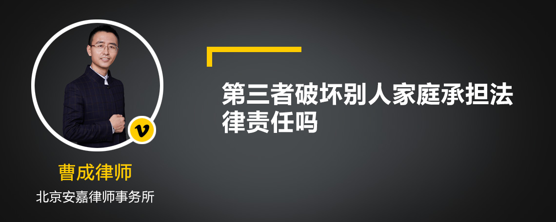 第三者破坏别人家庭承担法律责任吗