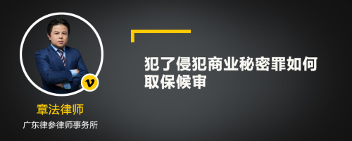 犯了侵犯商业秘密罪如何取保候审