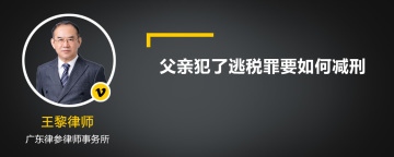 父亲犯了逃税罪要如何减刑