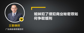 姐妹犯了侵犯商业秘密罪如何争取缓刑