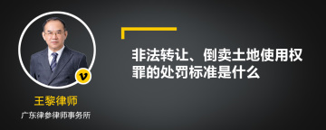 非法转让、倒卖土地使用权罪的处罚标准是什么