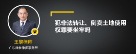 犯非法转让、倒卖土地使用权罪要坐牢吗