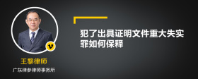 犯了出具证明文件重大失实罪如何保释