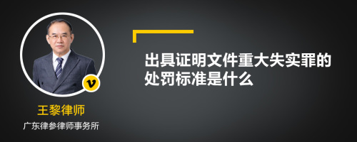 出具证明文件重大失实罪的处罚标准是什么