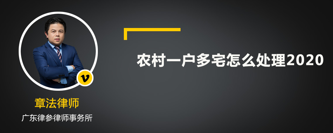 农村一户多宅怎么处理2020