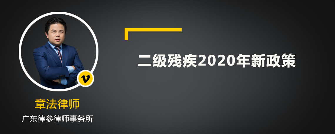 二级残疾2020年新政策