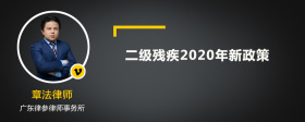 二级残疾2020年新政策