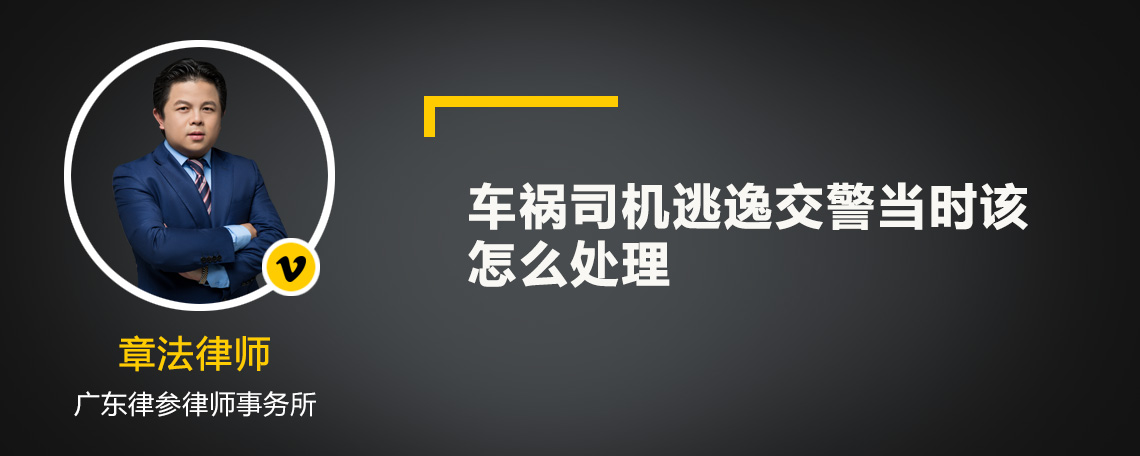 车祸司机逃逸交警当时该怎么处理