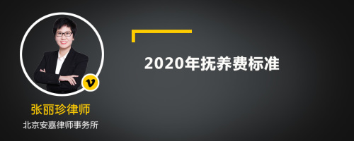 2020年抚养费标准