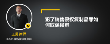 犯了销售侵权复制品罪如何取保候审