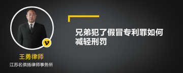 兄弟犯了假冒专利罪如何减轻刑罚