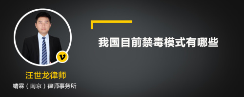 我国目前禁毒模式有哪些