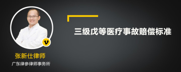 三级戊等医疗事故赔偿标准