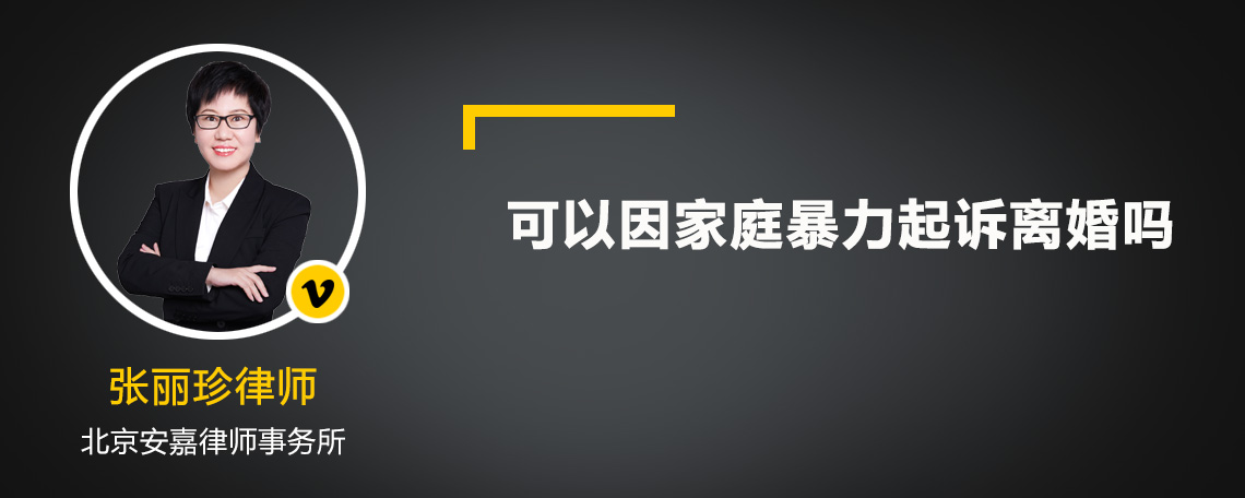 可以因家庭暴力起诉离婚吗