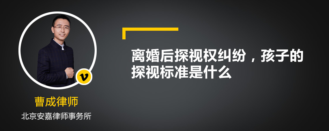 离婚后探视权纠纷，孩子的探视标准是什么