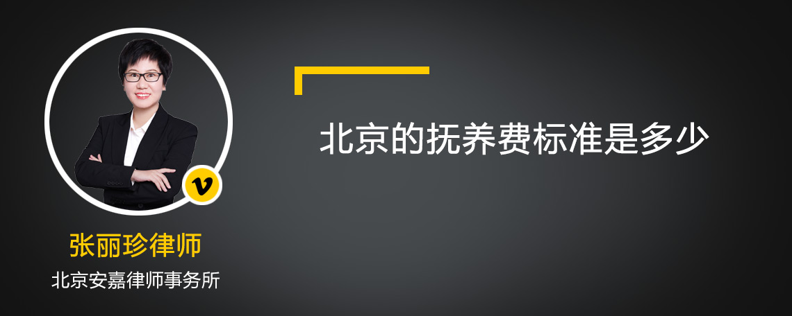 北京的抚养费标准是多少