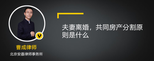 夫妻离婚，共同房产分割原则是什么