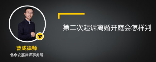 第二次起诉离婚开庭会怎样判