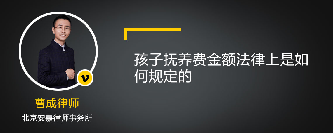 孩子抚养费金额法律上是如何规定的