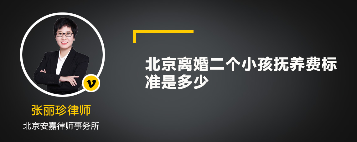 北京离婚二个小孩抚养费标准是多少