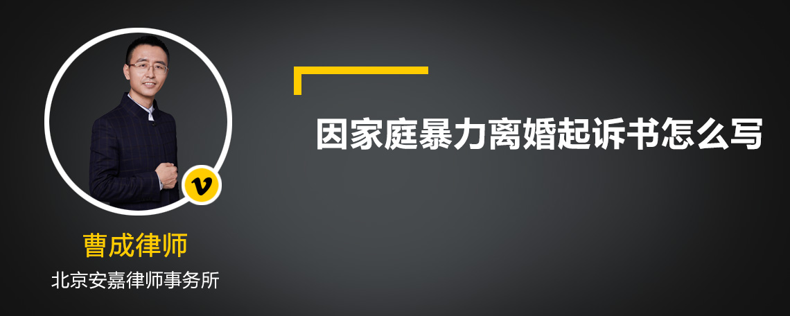 因家庭暴力离婚起诉书怎么写