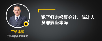 犯了打击报复会计、统计人员罪要坐牢吗