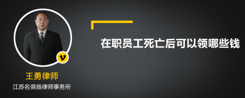 在职员工死亡后可以领哪些钱