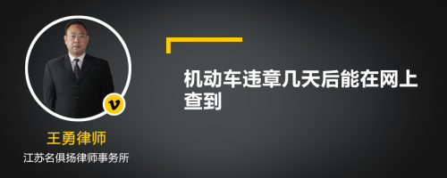 机动车违章几天后能在网上查到