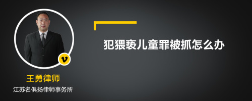 犯猥亵儿童罪被抓怎么办