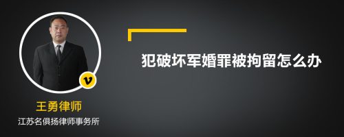 犯破坏军婚罪被拘留怎么办