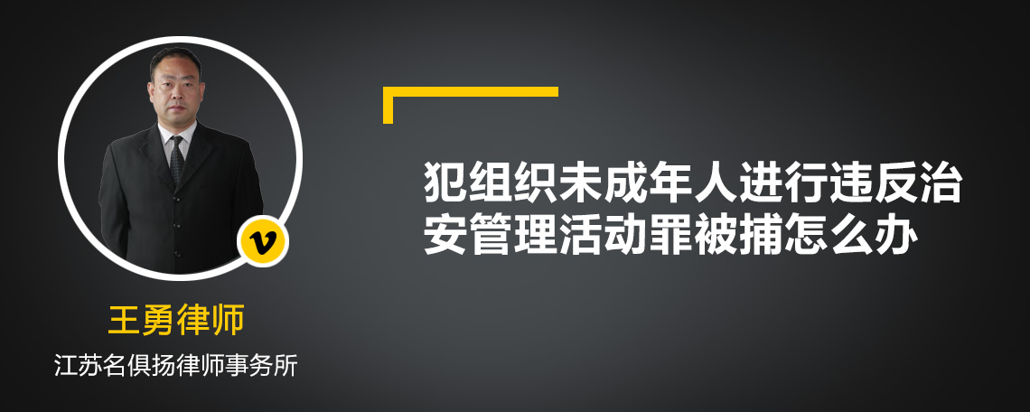 犯组织未成年人进行违反治安管理活动罪被捕怎么办