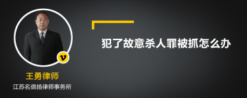 犯了故意杀人罪被抓怎么办