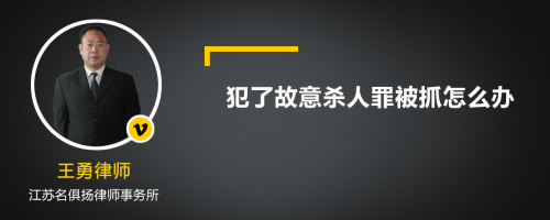 犯了故意杀人罪被抓怎么办