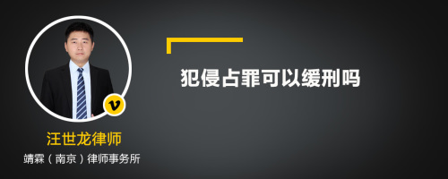 犯侵占罪可以缓刑吗