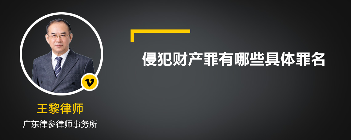 侵犯财产罪有哪些具体罪名