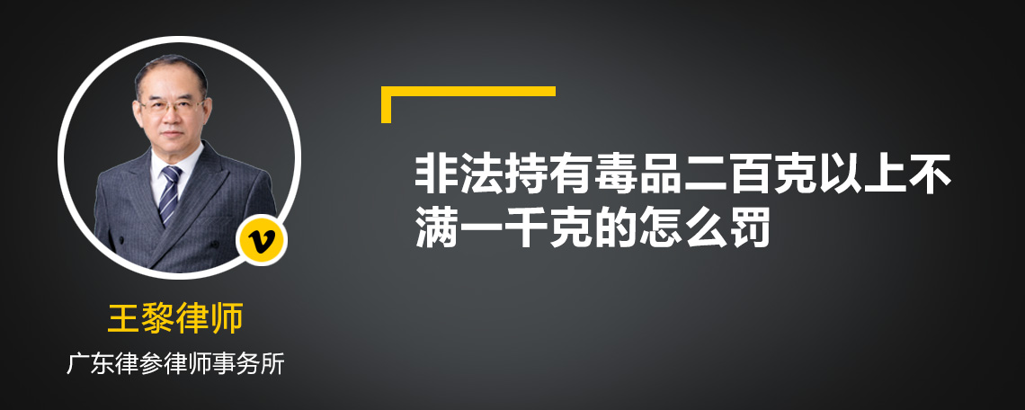 非法持有毒品二百克以上不满一千克的怎么罚