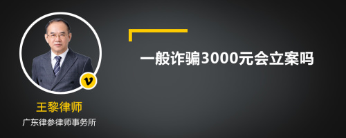 一般诈骗3000元会立案吗