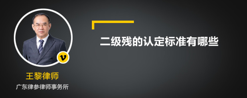 二级残的认定标准有哪些