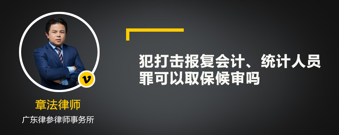 犯打击报复会计、统计人员罪可以取保候审吗