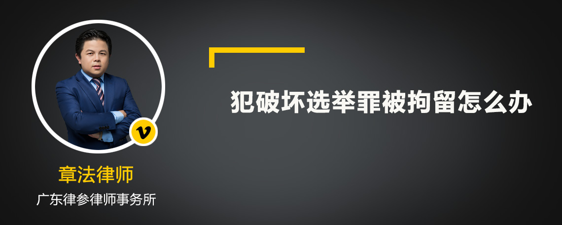 犯破坏选举罪被拘留怎么办