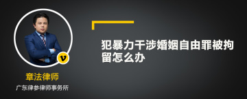 犯暴力干涉婚姻自由罪被拘留怎么办