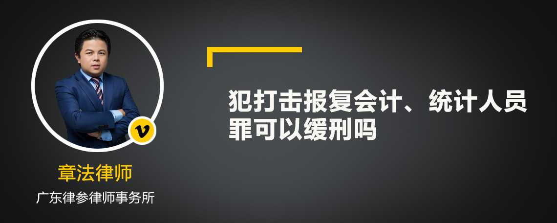 犯打击报复会计、统计人员罪可以缓刑吗