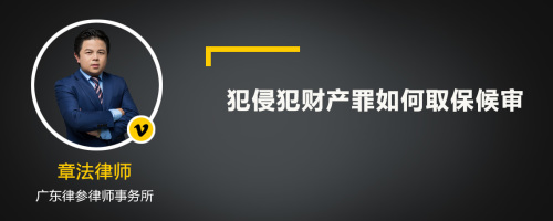 犯侵犯财产罪如何取保候审