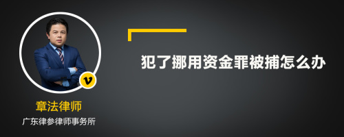 犯了挪用资金罪被捕怎么办