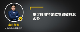 犯了挪用特定款物罪被抓怎么办