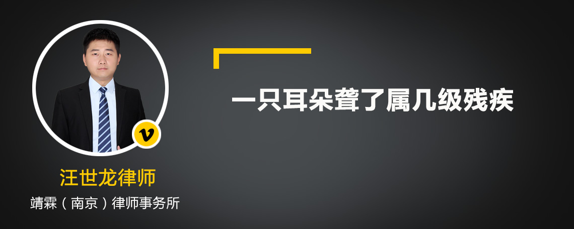 一只耳朵聋了属几级残疾